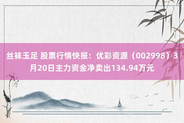 丝袜玉足 股票行情快报：优彩资源（002998）3月20日主力资金净卖出134.94万元