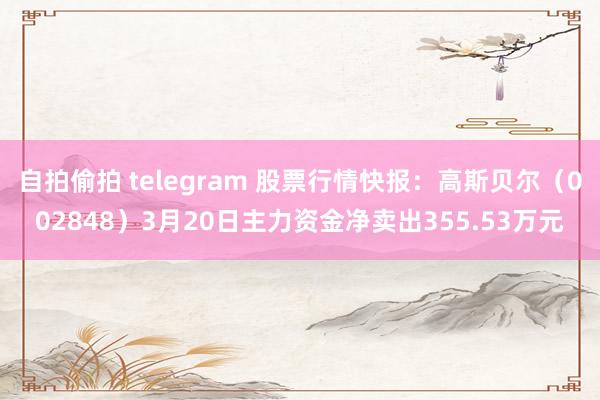 自拍偷拍 telegram 股票行情快报：高斯贝尔（002848）3月20日主力资金净卖出355.53万元