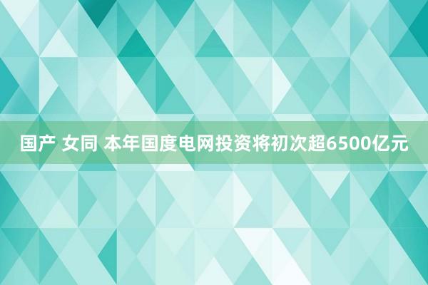 国产 女同 本年国度电网投资将初次超6500亿元