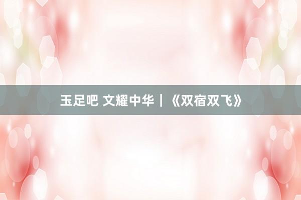 玉足吧 文耀中华｜《双宿双飞》