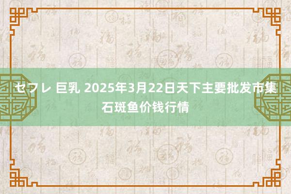 セフレ 巨乳 2025年3月22日天下主要批发市集石斑鱼价钱行情