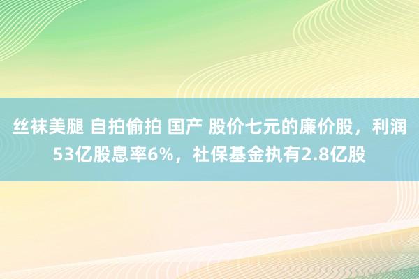 丝袜美腿 自拍偷拍 国产 股价七元的廉价股，利润53亿股息率6%，社保基金执有2.8亿股
