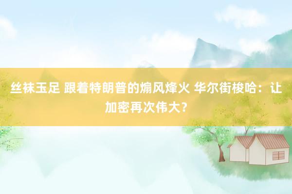 丝袜玉足 跟着特朗普的煽风烽火 华尔街梭哈：让加密再次伟大？