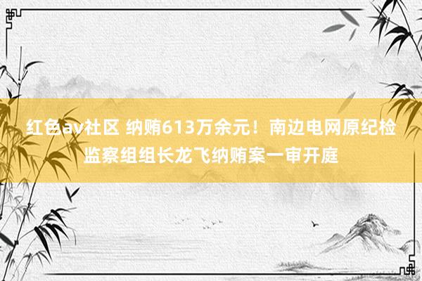 红色av社区 纳贿613万余元！南边电网原纪检监察组组长龙飞纳贿案一审开庭