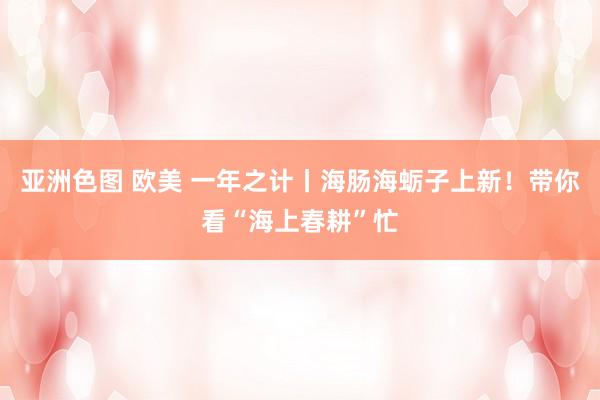 亚洲色图 欧美 一年之计丨海肠海蛎子上新！带你看“海上春耕”忙