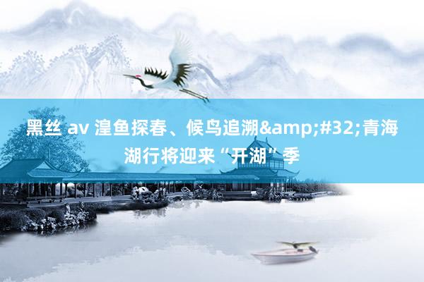 黑丝 av 湟鱼探春、候鸟追溯&#32;青海湖行将迎来“开湖”季