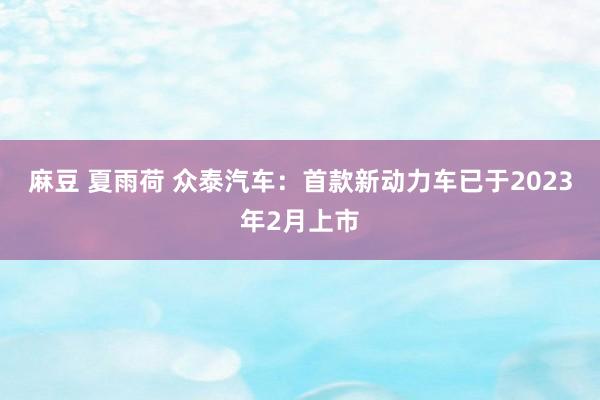 麻豆 夏雨荷 众泰汽车：首款新动力车已于2023年2月上市