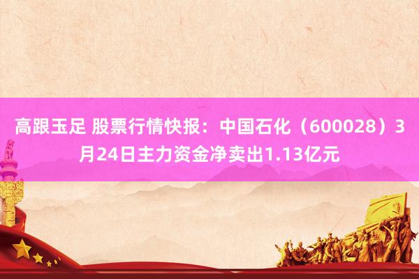 高跟玉足 股票行情快报：中国石化（600028）3月24日主力资金净卖出1.13亿元