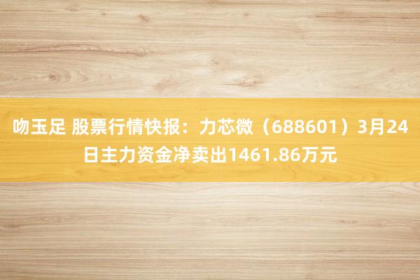 吻玉足 股票行情快报：力芯微（688601）3月24日主力资金净卖出1461.86万元