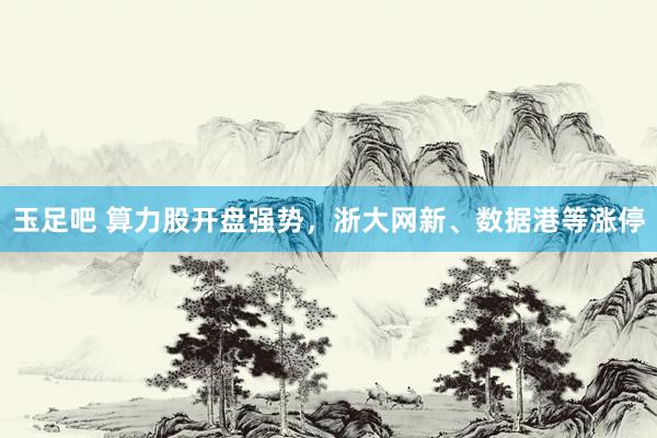 玉足吧 算力股开盘强势，浙大网新、数据港等涨停