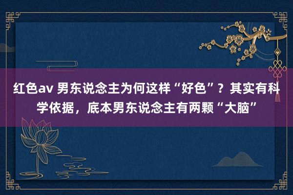 红色av 男东说念主为何这样“好色”？其实有科学依据，底本男东说念主有两颗“大脑”