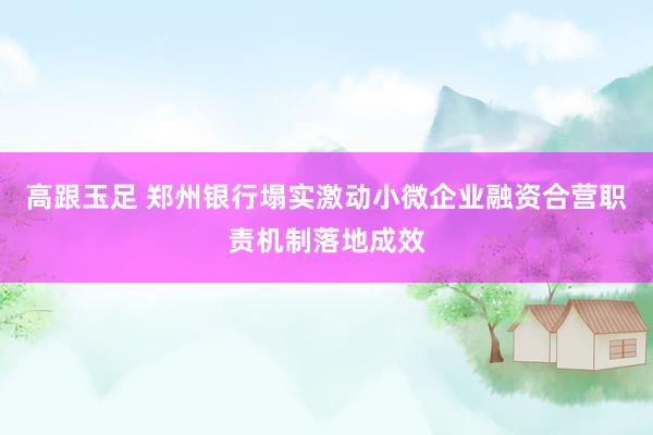 高跟玉足 郑州银行塌实激动小微企业融资合营职责机制落地成效