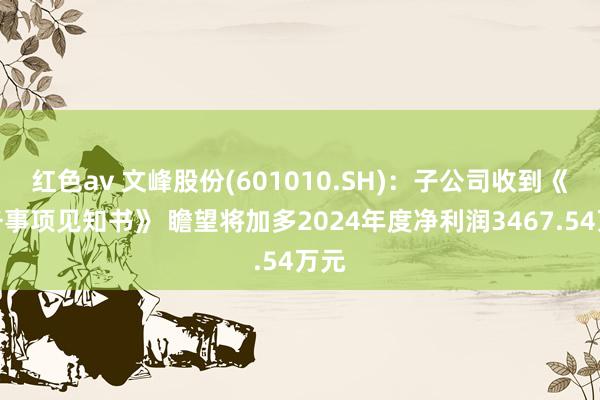 红色av 文峰股份(601010.SH)：子公司收到《税务事项见知书》 瞻望将加多2024年度净利润3467.54万元