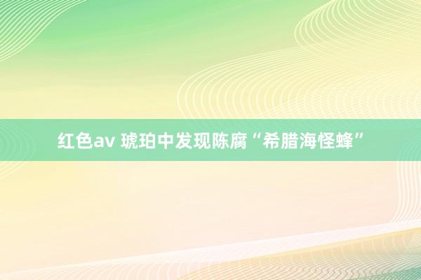 红色av 琥珀中发现陈腐“希腊海怪蜂”