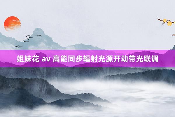 姐妹花 av 高能同步辐射光源开动带光联调