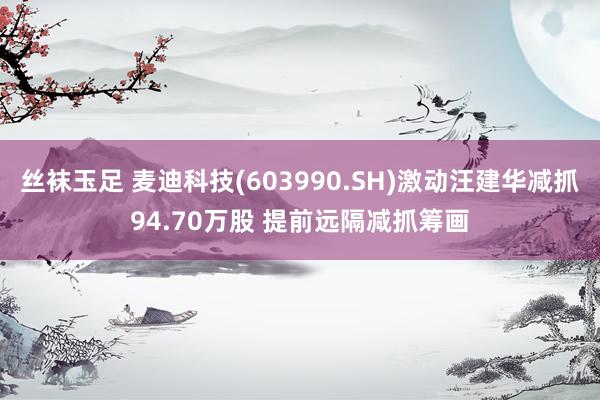 丝袜玉足 麦迪科技(603990.SH)激动汪建华减抓94.70万股 提前远隔减抓筹画