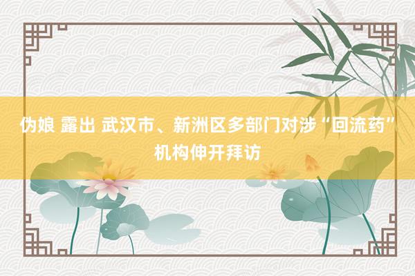 伪娘 露出 武汉市、新洲区多部门对涉“回流药”机构伸开拜访