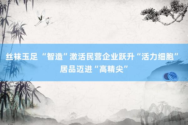 丝袜玉足 “智造”激活民营企业跃升“活力细胞” 居品迈进“高精尖”