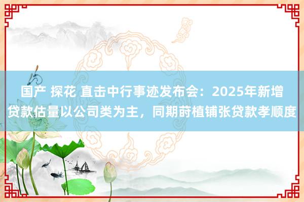 国产 探花 直击中行事迹发布会：2025年新增贷款估量以公司类为主，同期莳植铺张贷款孝顺度