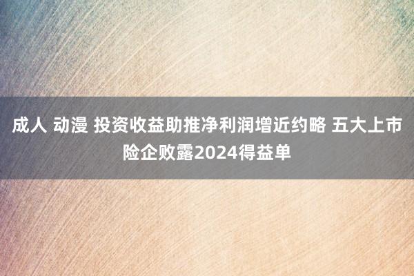 成人 动漫 投资收益助推净利润增近约略 五大上市险企败露2024得益单
