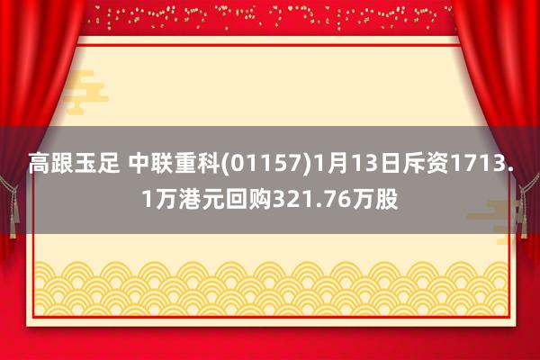 高跟玉足 中联重科(01157)1月13日斥资1713.1万港元回购321.76万股