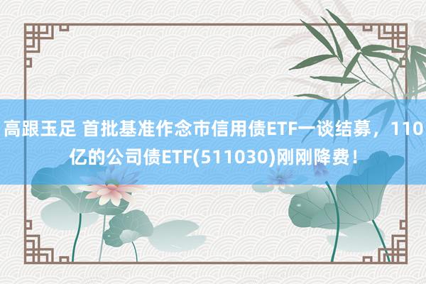 高跟玉足 首批基准作念市信用债ETF一谈结募，110亿的公司债ETF(511030)刚刚降费！