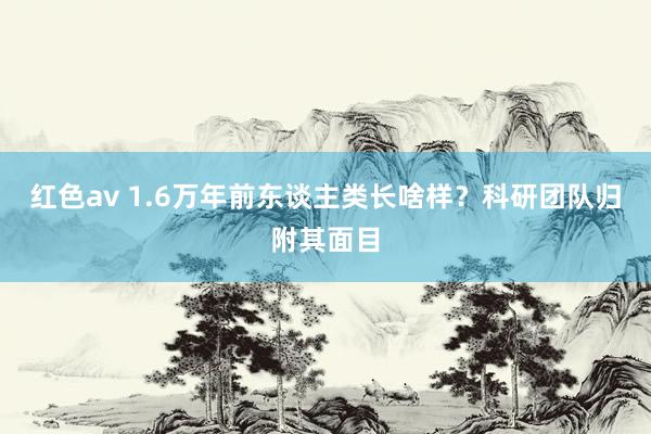 红色av 1.6万年前东谈主类长啥样？科研团队归附其面目