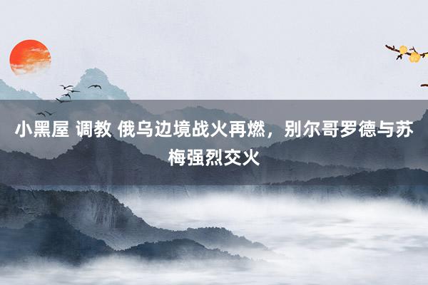 小黑屋 调教 俄乌边境战火再燃，别尔哥罗德与苏梅强烈交火