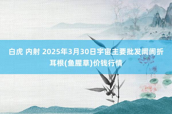 白虎 内射 2025年3月30日宇宙主要批发阛阓折耳根(鱼腥草)价钱行情