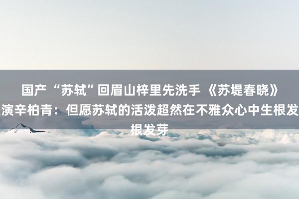 国产 “苏轼”回眉山梓里先洗手 《苏堤春晓》主演辛柏青：但愿苏轼的活泼超然在不雅众心中生根发芽
