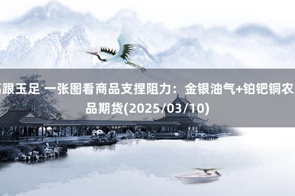 高跟玉足 一张图看商品支捏阻力：金银油气+铂钯铜农居品期货(2025/03/10)