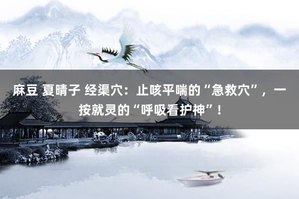 麻豆 夏晴子 经渠穴：止咳平喘的“急救穴”，一按就灵的“呼吸看护神”！