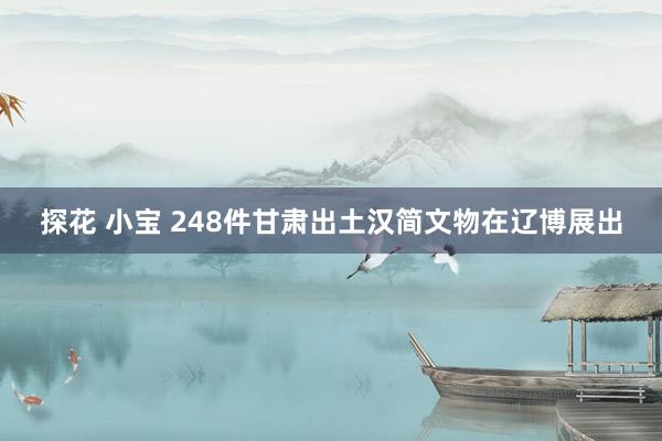 探花 小宝 248件甘肃出土汉简文物在辽博展出