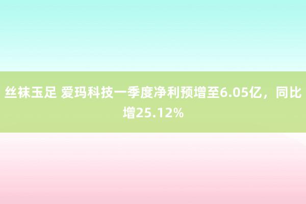 丝袜玉足 爱玛科技一季度净利预增至6.05亿，同比增25.12%