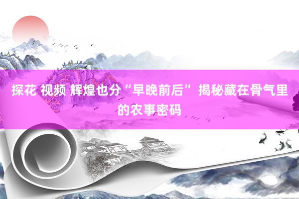 探花 视频 辉煌也分“早晚前后” 揭秘藏在骨气里的农事密码