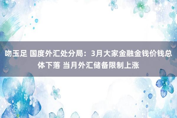 吻玉足 国度外汇处分局：3月大家金融金钱价钱总体下落 当月外汇储备限制上涨