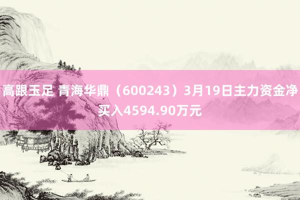 高跟玉足 青海华鼎（600243）3月19日主力资金净买入4594.90万元