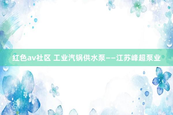 红色av社区 工业汽锅供水泵——江苏峰超泵业