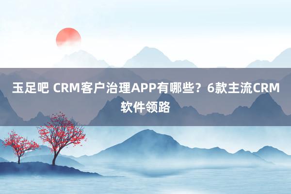 玉足吧 CRM客户治理APP有哪些？6款主流CRM软件领路