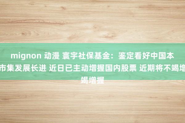 mignon 动漫 寰宇社保基金：鉴定看好中国本钱市集发展长进 近日已主动增握国内股票 近期将不竭增握