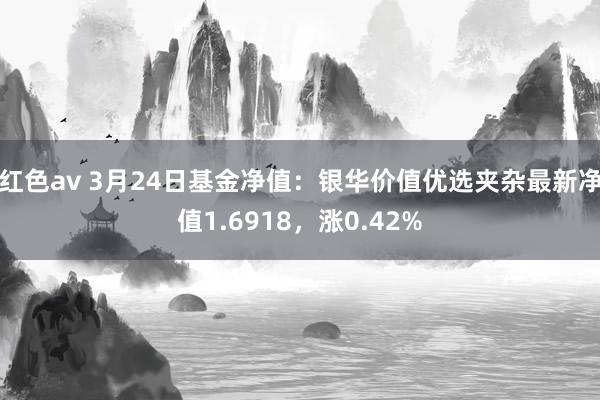 红色av 3月24日基金净值：银华价值优选夹杂最新净值1.6918，涨0.42%