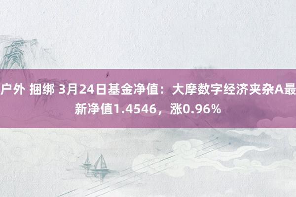 户外 捆绑 3月24日基金净值：大摩数字经济夹杂A最新净值1.4546，涨0.96%
