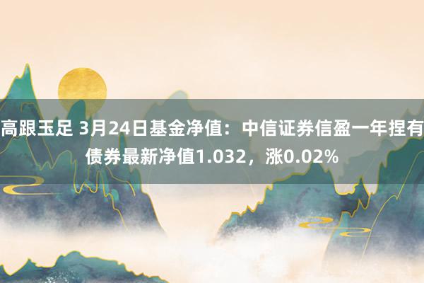 高跟玉足 3月24日基金净值：中信证券信盈一年捏有债券最新净值1.032，涨0.02%