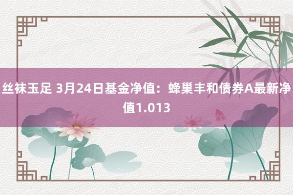 丝袜玉足 3月24日基金净值：蜂巢丰和债券A最新净值1.013