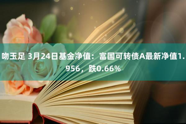 吻玉足 3月24日基金净值：富国可转债A最新净值1.956，跌0.66%