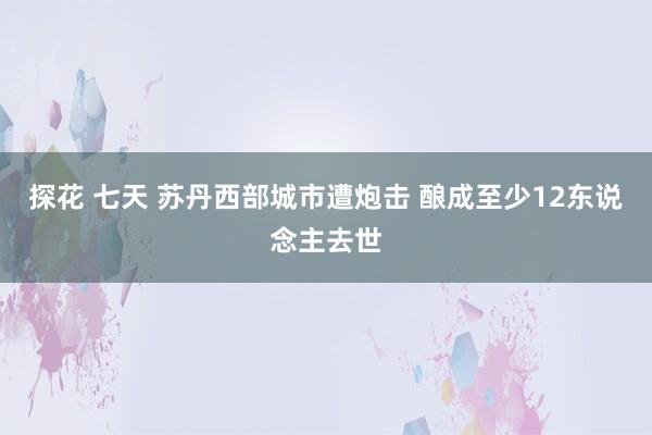 探花 七天 苏丹西部城市遭炮击 酿成至少12东说念主去世