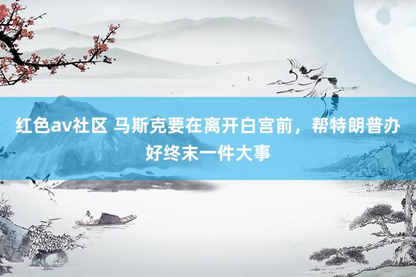 红色av社区 马斯克要在离开白宫前，帮特朗普办好终末一件大事