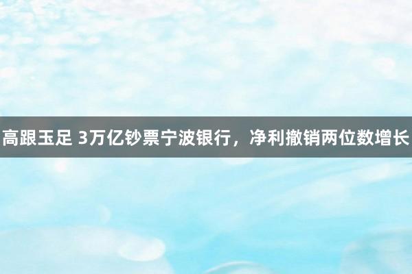 高跟玉足 3万亿钞票宁波银行，净利撤销两位数增长