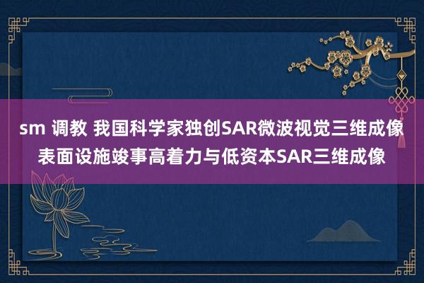 sm 调教 我国科学家独创SAR微波视觉三维成像表面设施竣事高着力与低资本SAR三维成像
