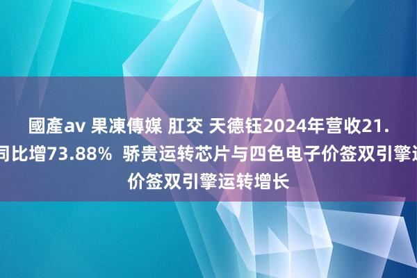 國產av 果凍傳媒 肛交 天德钰2024年营收21.02亿元同比增73.88%  骄贵运转芯片与四色电子价签双引擎运转增长